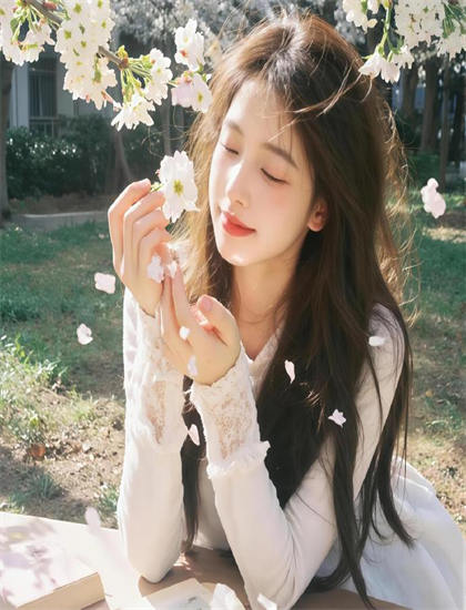 发现少女骑士物语引人入胜的：未被注意的细节与意义